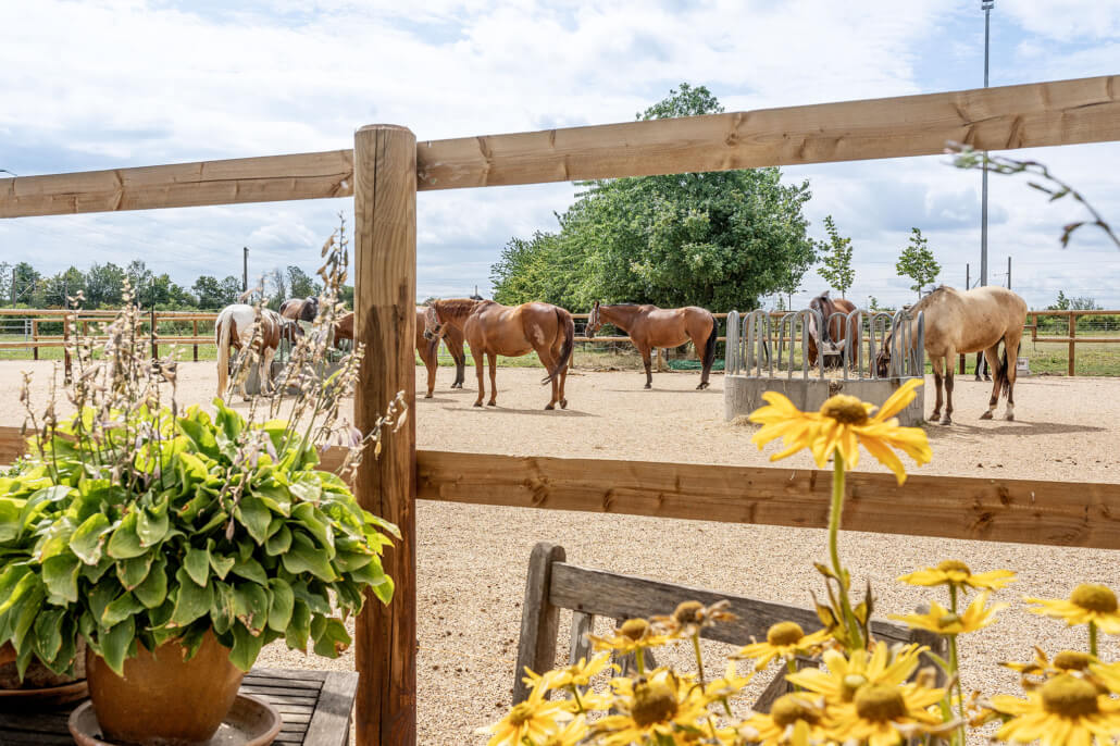 paddocks-reitanlage-an-der-Steinheide