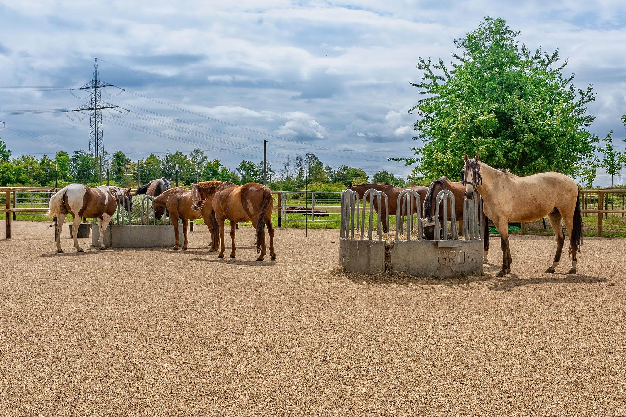 Artgerechte Pferdehaltung Reitbetrieb "An der Steinheide", Familie Köllen