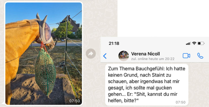 bauchgefuehl_beitragsbild