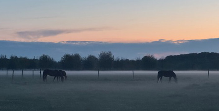 beitragsbild_abendstimmung