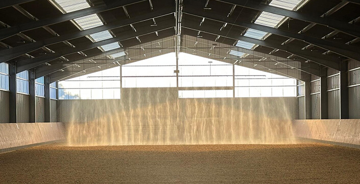 beitragsbild_regenhalle